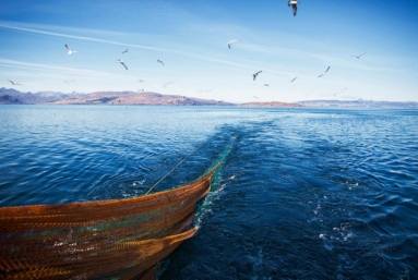 Pêcheurs artisans, des hommes à la mer