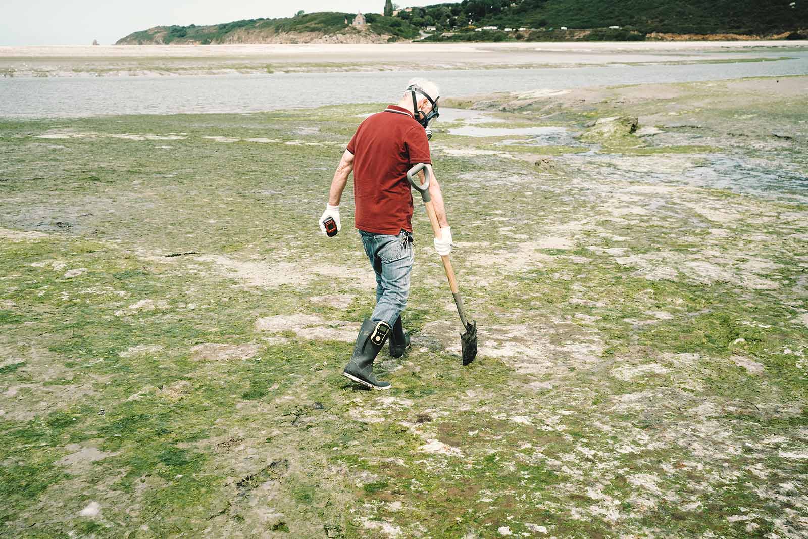 Algues vertes l'histoire interdite  - Ecologie & Environnement 