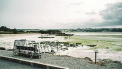 Les algues vertes, fossoyeuses du vivant