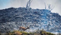 Climatosceptiques et toxiques