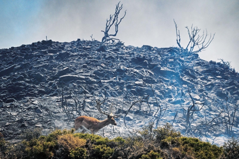 Climatosceptiques et toxiques