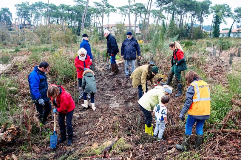 Les batailles de l’arbre bourgeonnent en France