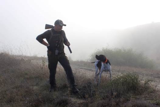 « L’État doit imposer de nouvelles règles de chasse tenant compte du changement climatique »