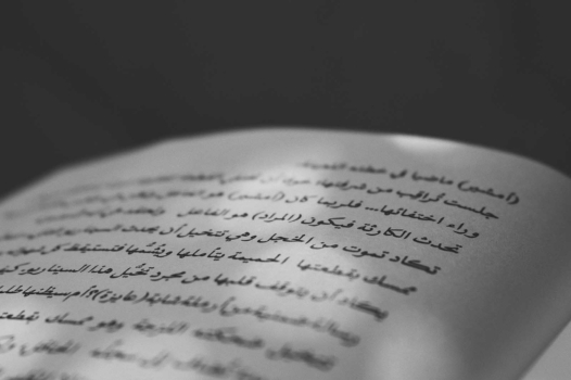« Rien n’est fait, en France, pour que l’arabe soit bien enseigné »