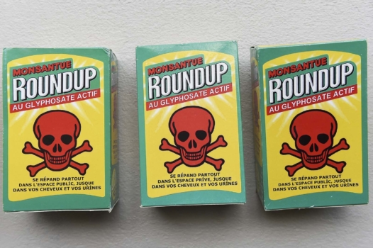 Glyphosate et Union européenne : ça continue, encore et encore