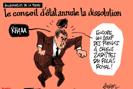 Le dessin d’Aurel : les Soulèvements de la Terre et la dédiabolisation du RN