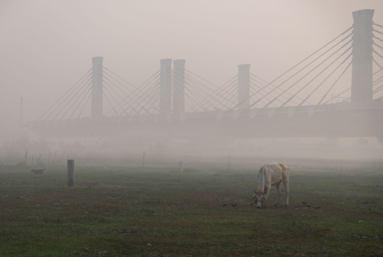 « Airpocalypse » en Inde