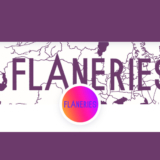 Le conseil de la semaine : le fanzine « Flâneries »