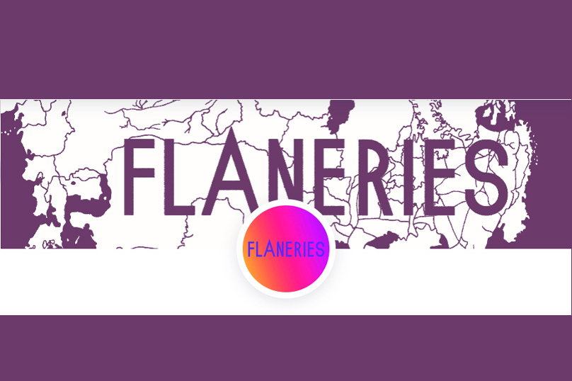 Le conseil de la semaine : le fanzine « Flâneries »