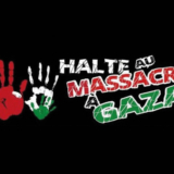 « Palestine, des clés pour comprendre »