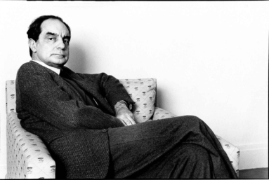 Italo Calvino, la littérature à plein temps