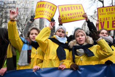 La mouvance anti-IVG, toujours vivace en France