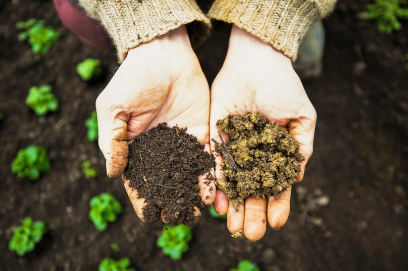 Pour une reprise en main collective des terres agricoles