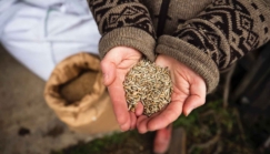 Pour Terre de liens, la souveraineté alimentaire est un « scandale made in France »