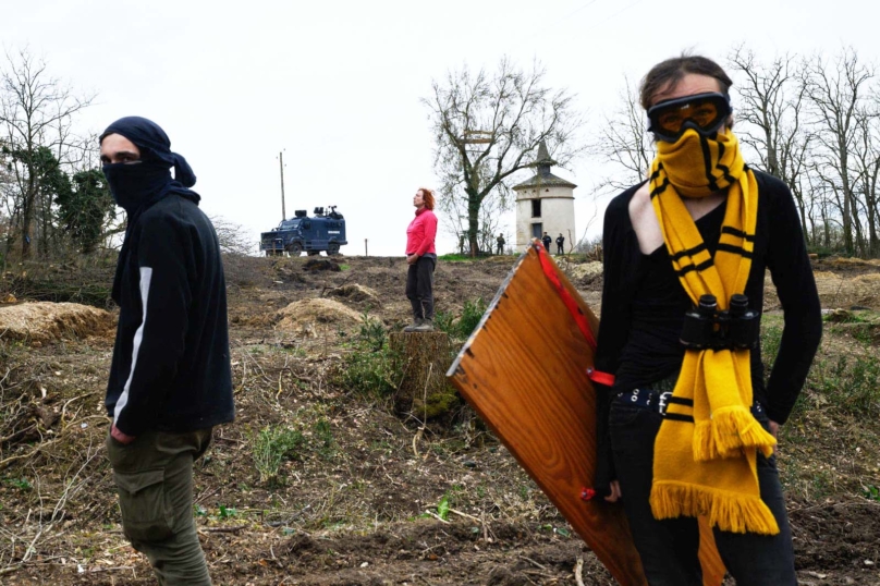 Justice : les écureuils de l’A69 relaxés !