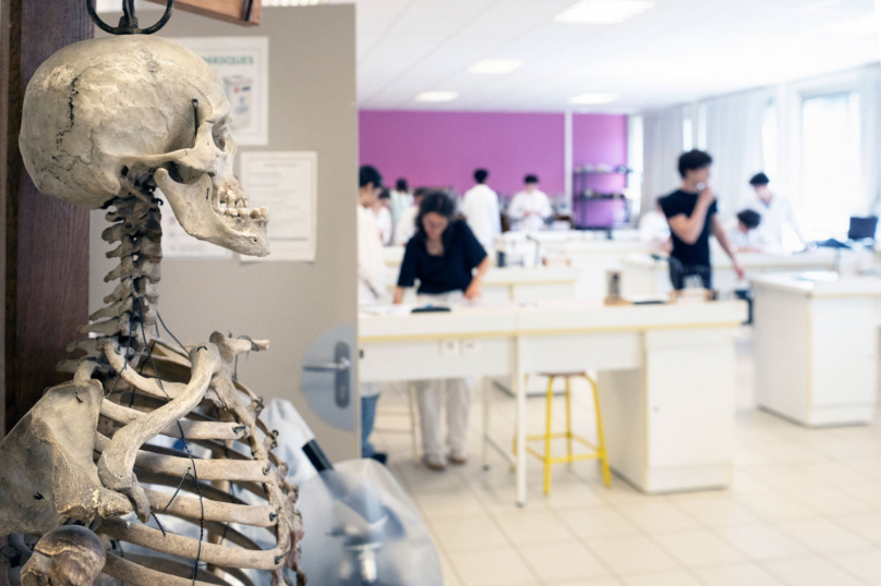 Éducation : au collège, des ateliers d’éducation à la mortalité