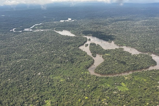 Guyane : la guerre à l’orpaillage illégal est déclarée