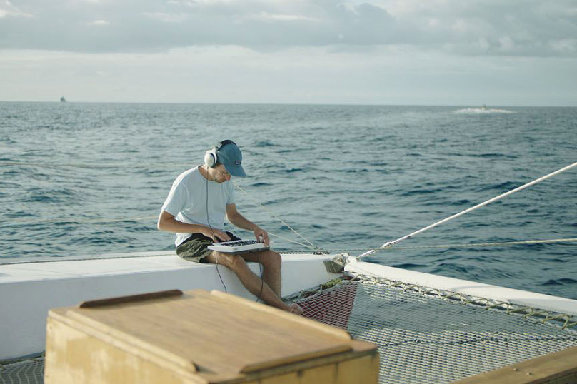 « La Baleine et le musicien », les notes bleues