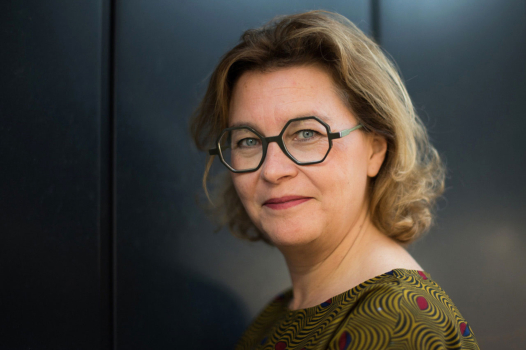 « Le Rassemblement national souhaite déligitimer la Constitution »