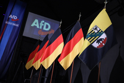 Europe : les fascistes dans les rues et dans les urnes