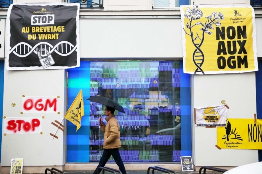 Nouveaux OGM : fausses promesses, vrais risques et précipitation coupable
