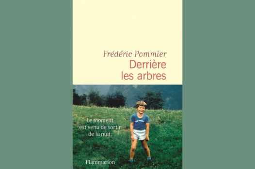 À lire : « Derrière les arbres » de Frédéric Pommier