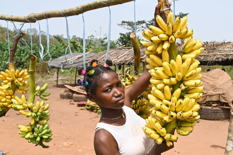 Le conseil de la semaine : « Peut-on encore manger des bananes ? »