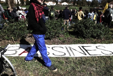 Sainte-Soline : un an après, entre traumatismes et détermination