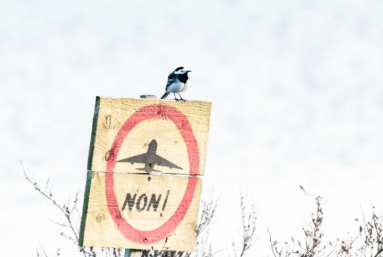 Notre-Dame-des-Landes / Vinci : 2-0