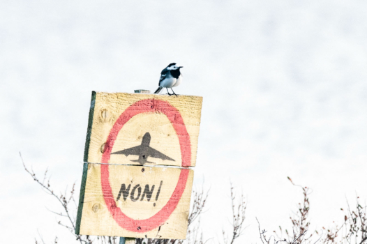 Notre-Dame-des-Landes / Vinci : 2-0