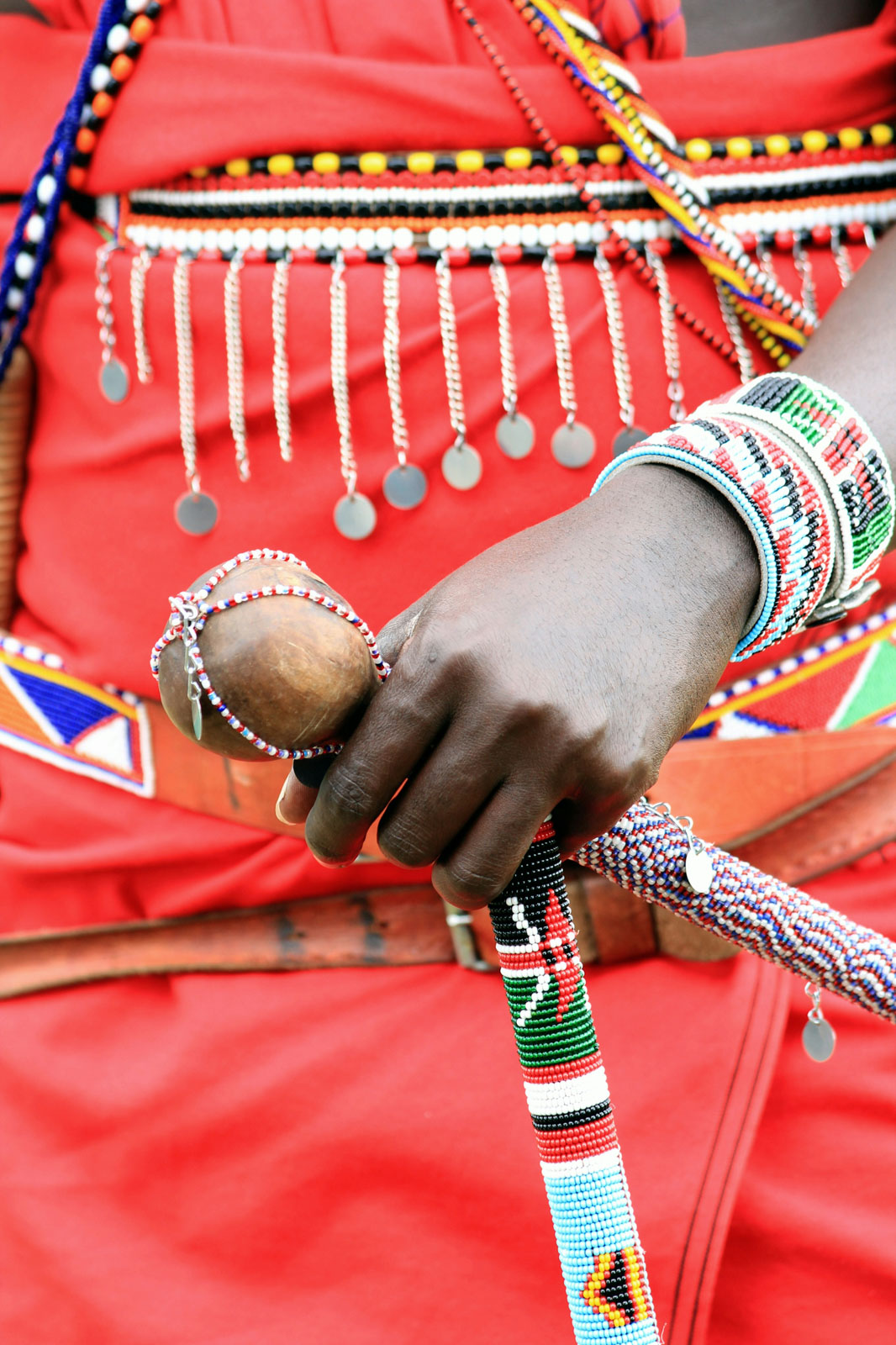 L’Unesco complice d’expulsions ? POLITIS