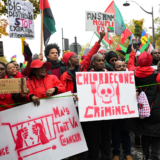 Chlordécone, le mépris d’État