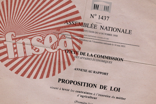 Loi Duplomb : ces députés bons petits soldats de la FNSEA