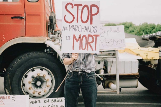 Loi Duplomb : la FNSEA contre la société