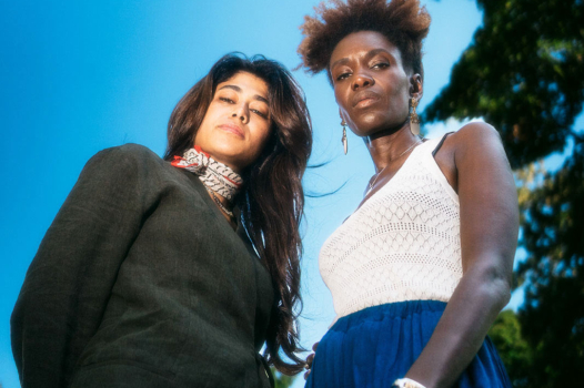 Rokhaya Diallo-Rima Hassan : pourquoi tant de haines ?