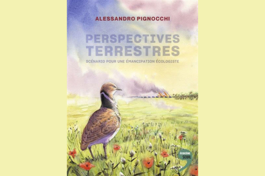 À lire : « Perpectives terrestres » d’Alessandro Pignocchi