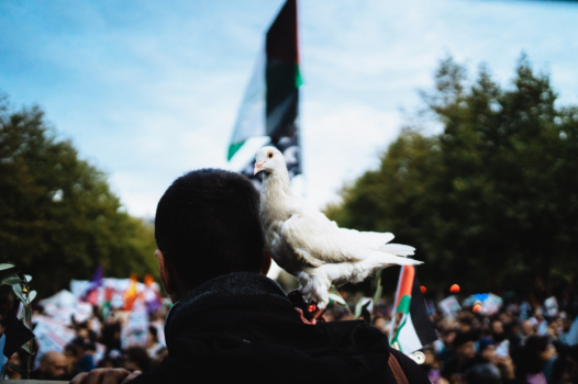 Palestine : ce n’est pas la fin de l’histoire