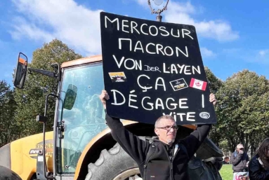 PAC, accord Mercosur : contradictions agricoles