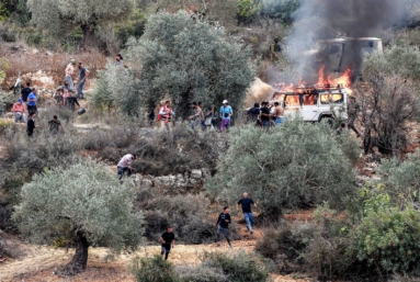 En Cisjordanie occupée, les oliviers pris pour cibles