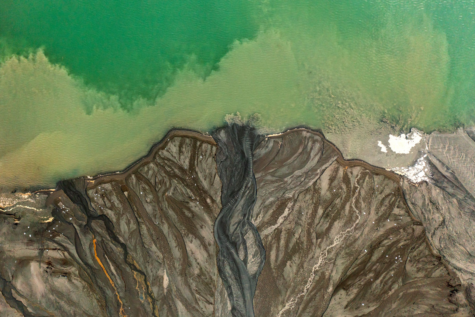 Ass&furious la meilleure du site