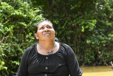 Guyane/Suriname : la guerre de l'or