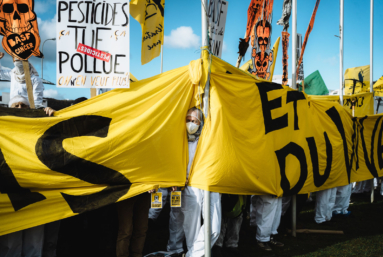 Devant une usine de pesticides BASF, paysans, malades et médecins dénoncent « une guerre chimique »