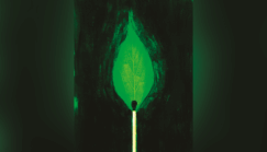 COP 30 : peut-on encore y croire ?