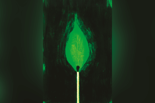 COP 30 : peut-on encore y croire ?