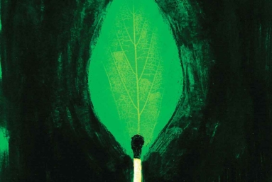 Les impasses coupables de la COP 30