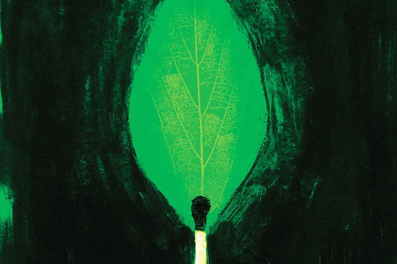 COP 30 : peut-on encore y croire ?