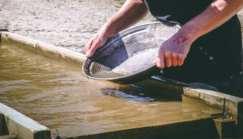 « On ne pourra pas vaincre l’orpaillage illégal seulement par la répression »