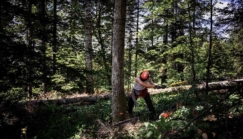 Jeunes morts au travail : le secteur agricole en première ligne