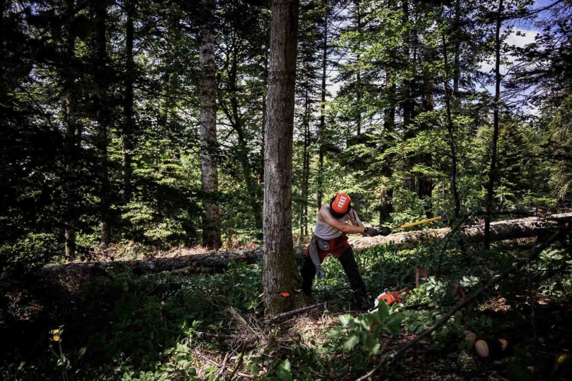 Jeunes morts au travail : le secteur agricole en première ligne