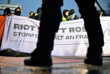 Extrême droite allemande : retour vers le passé ?